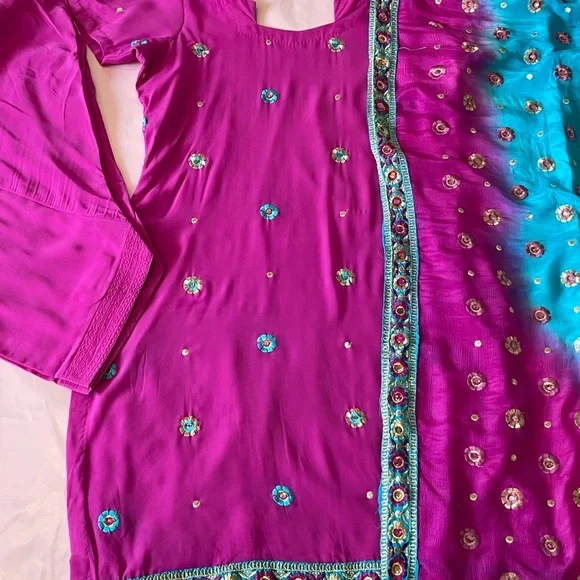 Designer Sona Chaandi punjabi suit punjabi suit new ready to wear - Picture 10 of 13